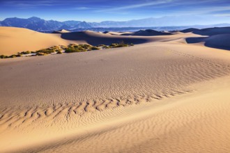 Thin waves on the sand in Mesquite Flat Sand Dunes. Bright sunny morning in a picturesque part of
