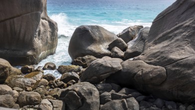 An image of a coast detail with rocks
