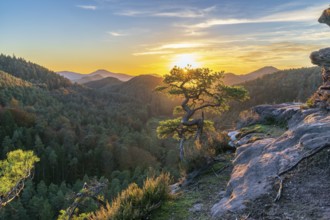 Sunset in the Dahner Felsenland, Palatinate Forest, Rhineland-Palatinate, Germany, Europe