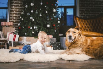 Friendship man child and dog pet. Theme Christmas New Year Winter Holidays. Baby boy on the floor