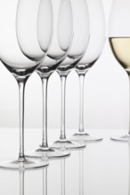 Five glasses of wine and on the white background