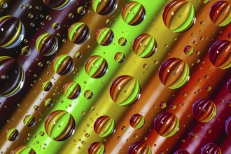 Color pencils under glass with drops of water. Office concept
