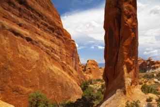 Arches National Park, Moab, Utah, USA. Bordered by the Colorado River in the southeast, it is known