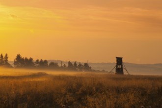 Hunting tower in the morning mist