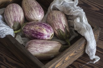 Purple graffiti eggplants in a wooden box in a vintage wooden background in rustic style, selective