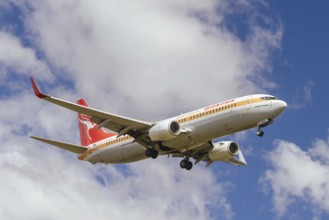 MELBOURNE, AUSTRALIA - SEPTEMBER 07, 2024: A Qantas Boeing 737-800 in retro livery flies into