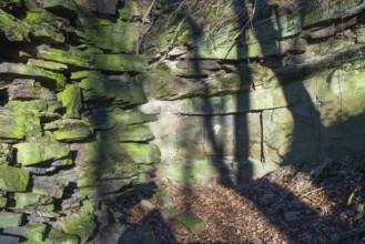 Graffitti at a rock shelter, atmospheric rock arts, looks like signs of Cannibalism, Wülmersen,