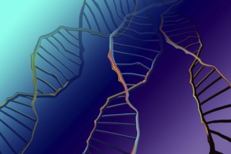 Genome sequencing concept of genome editing. Biotechnology of molecule