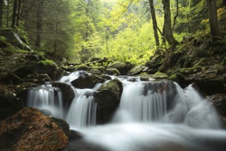 Forest stream flowing down from the mountains, Czech Republic, Europe
