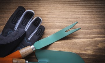 Weeding scoop hand spade protective gloves on wood board