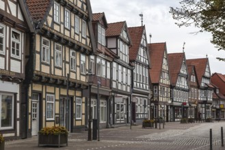 The street with historical half-timbered houses in the old city of Celle, Germany, Europe