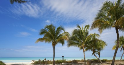 Holbox tropical Island palm tree beach in Quintana Roo of Mexico
