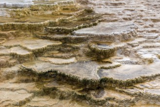 Scenic lifeless calcium terraces at Mammoth Hot Springs, Yellowstone National Park, USA, North
