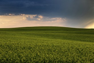 Prairie Storm Clouds Canada Saskatchewan Dramatic Summer