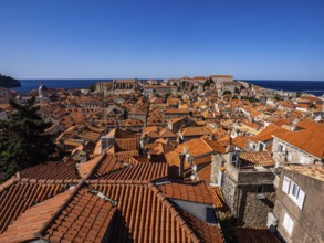 Old Town of Dubrovnik, Dalmatia, Croatia, Europe