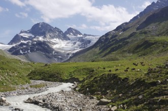 The Piz Buin and the source of the Ill, Silvretta- Vorarlberg