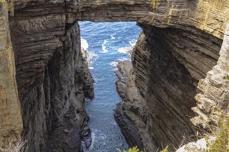 Tasman Arch has been created by the wind and waves for millions of years, Eaglehawk Neck, Tasmania,