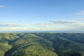 Aerial forest scenery European Forest. Beautiful mountain landscape, with mountain peaks covered