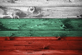 Bulgaria flag on wooden planks background wood flag