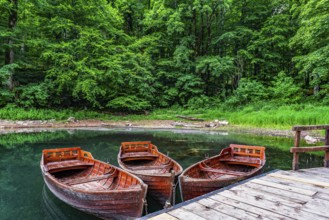 Old wooden boats on Biogradskoe lake in the forest of Montenegro