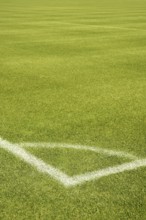 Football green grass field with corner white lines