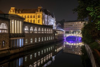 Iconic building of the central market in Ljubljana illuminated at night, the bridge of Preseren