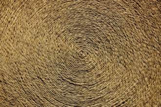 Esparto halfah grass used for crafts as cords basketry and espadrilles