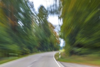 Speed on the street with autumnal surroundings and colourful leaves. Motion on the street in autumn