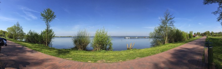 Landscape in Springtime at the Dümmer lake in Germany
