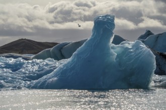 Icebergs and seagulls, Jökulsárlón, Suðurland, Iceland, Europe