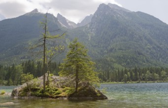 Hintersee near Ramsau, Berchtesgaden, Alps, Bavaria, National Park