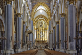 Nave of the Church San Domenico Maggiore, Naples, Campania, Italy, Europe