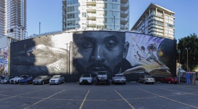 A picture of the Kobe Bryant Grana mural, featuring artwork by Odeith and Nikkolas Smith, created