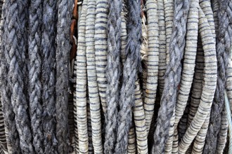 Fishing equipment, Kappeln, Schleswig-Holstein, Germany, Europe