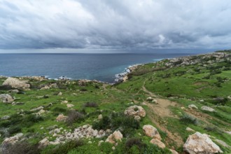 View over a green landscape with rocks and the Mediterranean sea in the background in Selmun,