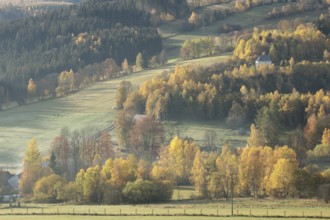 Idyllic autumn landscape on a sunny October morning. Sudetes Mountains, Czech Republic, Europe