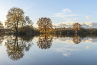 Trees reflected in a flooded meadow after heavy rains. Autumn landscape. Bas-Rhin, Alsace, Grand