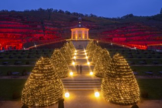 Adventure winery to shine in special splendour from next week Radebeul, 1 November 2024 From 8