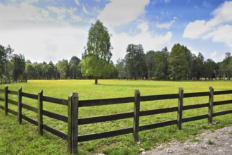 The green grassy rural field fenced with a low strong fence