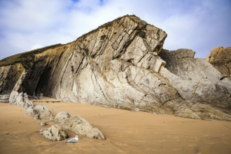 Incredible rock formations, stones and boulders. Adorable sea gull. Cantabria, Spain. The Playa de