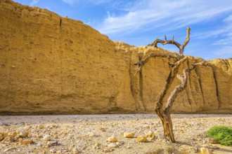 The stone desert in the neighborhood of the sea resort of Eilat. Walking route on picturesque Black
