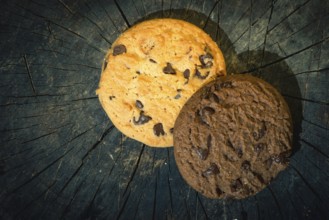 Biscuits on wood. Day light
