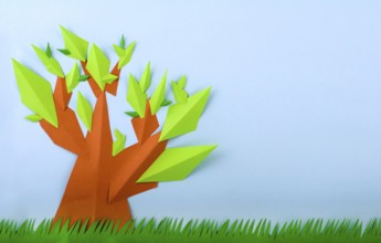 Summer view green tree paper made and grass