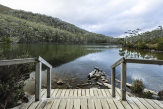 The stunning Lake Dobson on the Pandani Grove Nature Walk on a cold summer's afternoon in Tasmania,