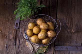 New small potatoes