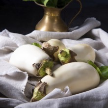Die Auberginen (Solanum melongena) ist eine Art in der Nachtschattenfamilie (Solanaceae), die für