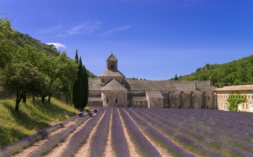 Monasteries of the Cistercian