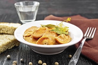 Salted mushrooms saffron with sour cream, currant leaf and sprig of dill in plate, fork, towel,