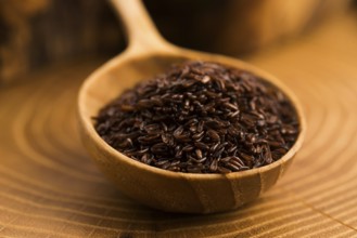 Psyllium seeds on wooden spoon