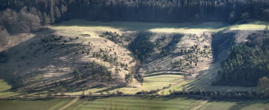 Kalkmagerrasen im Diemeltal, Chalk grassland in the River Diemel Valley, nature reserve European